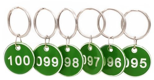 NanTun Aluminium nummer-taggar med nyckelringar - 100-pack, nummer 1-100, grön