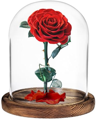 Dewocke Cloche en verre avec base en bois vintage, vitrine décorative transparente avec plateau, pour plantes, collection, jouet, cristal