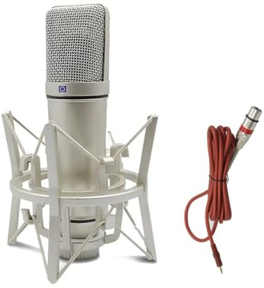 Jrudjsnhhty Micrófono de Condensador Profesional de Metal, Micrófono de Estudio para Juegos de Computadora, Grabación, Canto, Podcast, Tarjeta de Sonido