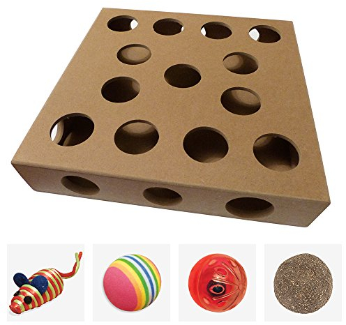 Unique Design - Interactive Indoor Cat Toy Puzzle Box – As Seen on Channel 5’s The Secret Life of Kittens - Four Cat Toys Included, 3 Balls and a Mouse – Best Gift for any Cat, Kitten or Their Owner!