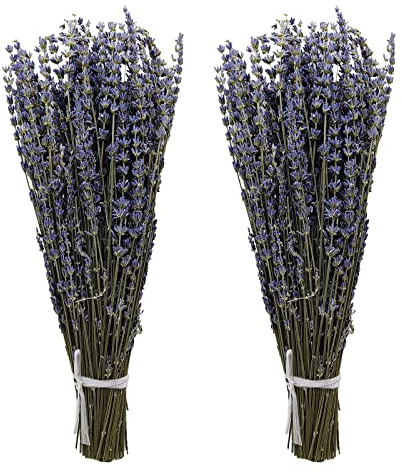 Aisamco 2 Pieces Dried Lavender Bundles Natural Dried Lavender Flowers 40cm Length Natural Dried Flowers for Home Wedding Flower Decoration