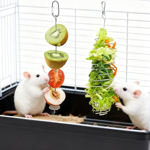 OUYIALY 2 Pack Stainless Steel Hamster Feeder, Slow Feeder Foraging Toy, Hanging Fruit Skewer Food Dispenser for Small Pets, Rat, Gerbil & Chinchilla