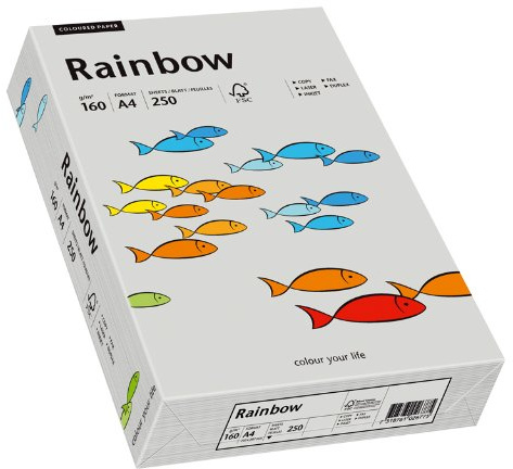 Papyrus 88042813 Druckerpapier Rainbow 160 g/m², A4 250 Blatt grau