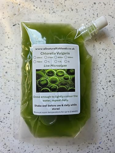 400ml Live Chlorella Vulgaris Microalgae Culture - Green Water food for Fish Fry, Dahpnia, Moina, Brine Shrimp, Shellfish and more