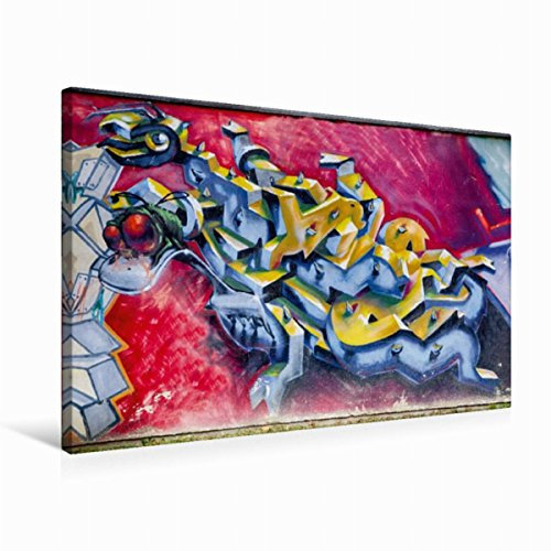 CALVENDO Art Toile Murale décorative en Tissu Motif Graffiti sur la tournelle 75 x 50 cm