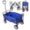 BDW - Bollerwagen Faltbar Kinder - Handwagen - Gartenwagen - Einkaufs-,Transport-, Sport-, Camping-, Strandwagen - Trolley für Hunde - Karren - Wasserfest - Klappbar - bis 75kg Belastung - Blau