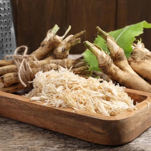 semi di rafano - giardino esotiche aiuole rialzate cucina 50pcs