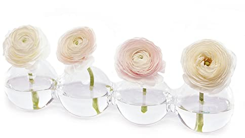 Chive ‘Caterpillar’ Multi-Chambered Flower Vase — Cute, Beautiful Glass Vase for Flowers & House Plants — Large