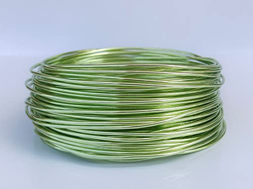 20 Gauge Anodized Aluminum Wire 164 Feet for Jewelry Making Craft DIY（0.8mm,Fruit Green,40808）