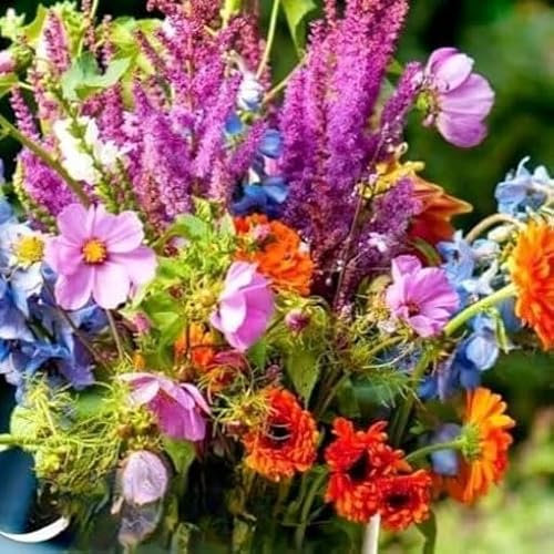 Cut flowers mix 1 g seeds + Plant tag + Freebie - Snapdragon Zinnia Larkspur Aster Marigold