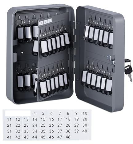 Relaxdays Armadietto Portachiavi da Parete, Cassetta Sicurezza con 48 Ganci Appendi Chiavi, HLP: 25 x 18 x 8 cm, Grigio