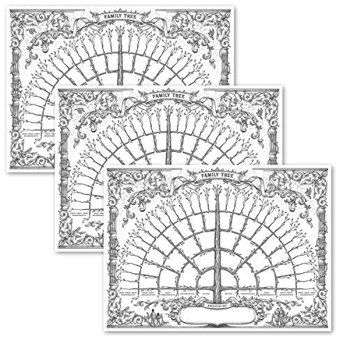Palace Learning 3-pack – släktträdsdiagram att fylla i – 6 generations släktforskningsaffisch – tomt fyllbart antik diagram [version 1] (45 cm x 61 cm)