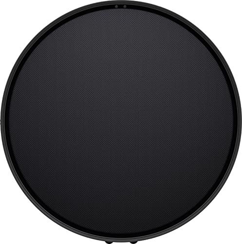 Defunc Haut-Parleur Intelligent Multiroom Home 100W - Enceinte Bluetooth 5.0 Compatible avec Alexa et Airplay2, Son Puissant et de Haute Qualité, Support Mural ou de Sol, Noir