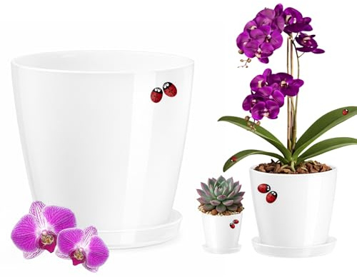 LiveLaif - Maceta Orquidea Blanca Brillo Ø16 cm + Plato | Maceta Plastico con Agujeros Drenaje | Macetero Decorativo Interior | Hecha en España