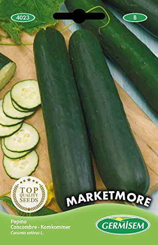 Germisem Marketmore Semillas de Pepino 3 g