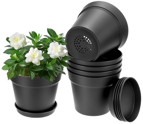 QWORK® 6 Piezas 15.5 cm macetero con Plato, Maceta Redonda plástico con Agujeros de Drenaje, para Interiores y Exteriores