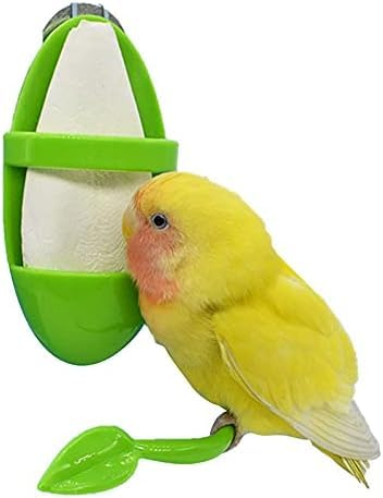 Large Cuttlefish Bone with Holder Plastic Cuddle Bone Feeding Racks Parrot Cage Stands Accessories for Parakeets Budgies Finches Birds Cockatiels Turtles Tortoise Snails for Pet Bird Supplies