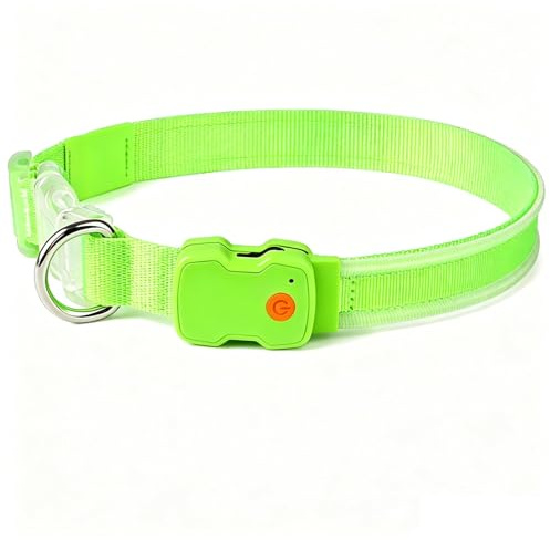 Domigard Collar LED Recargable para Perros, IPX7 Impermeable y Ajustable