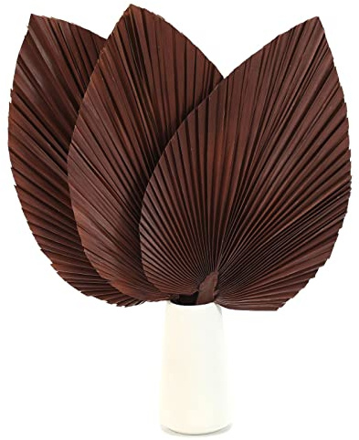 Large Dried Palm Leaves-17 Dried Palms Spear Plant Fans for Home Office Boho Decor | Tropical Wedding Decor | Party Table Decoration | Dried Wedding Flowers and Leaf Decor (Brown,3 Pcs)