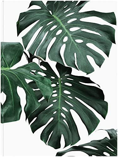 Fine Art Canvas Monstera 1 Canvas Wall Decor by Artist Sisi & Seb for Living Room, Bedroom, Bathroom, Kitchen, Office, Bar, Dining & Guest Room - Ready to Hang - 32 in x 43 in