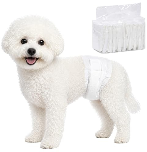 PawHut Pannolini per Cani Maschi, 48 Pezzi, Pannolini Assorbenti con Fascia Elastica Regolabile, Usa e Getta, per Incontinenza e Urinazione Eccitabile, 62x20 cm, Bianco