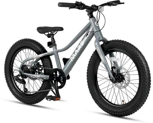 Glerc Mars Kids Mountain Bike, 20 Inch Fat Tire Bike for Teen Ages 6-12 Year Old, Bicycle with 2.8-Inch Wide Tires and 6 Speed Drivetrain, Gray