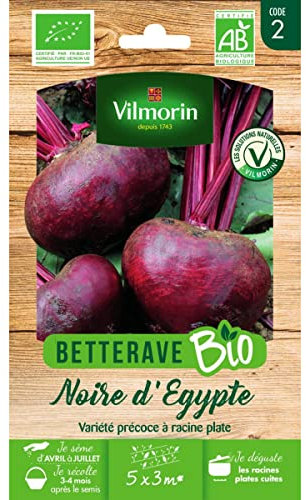 Vilmorin - Sachet graines Betterave Noire d'Egypte BIO - Beta vulgaris