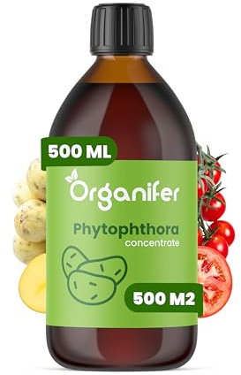Phytophthora-Konzentrat - 500 Ml Für 500 M2 - Produkt Für Kartoffeln Und Tomaten - Pflanzenpflege - Gemüsedünger - Organifer