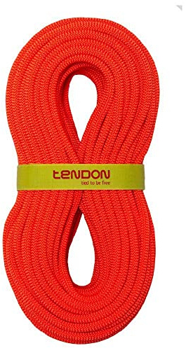 Tendon