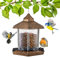 GloBrite Bird Feeder Garden Ornament - Bird Seed Feeder - Hanging Bird Feeder - All Weather Bird Feeders Hanging Feeding Station for Wild Birds, Hexagon Shaped with Roof for Outdoor Yard Decoration
