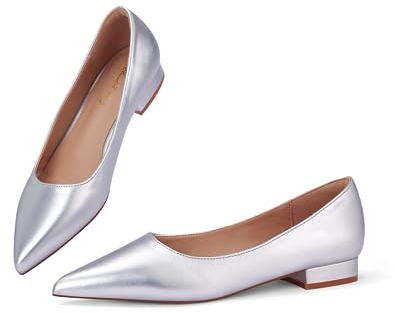 Zhabtuc Flache Ballerinas für Damen Schuh mit Spitzer Zehenpartie Elegante Slip-on Schuhe mit Niedriger Absatz Hochzeitsschuhe Arbeitsschuhe Business-Schuhe, Silber, 40 EU