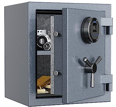 RPNB Deluxe Biometric Fireproof Safe Box,Touchscreen Digital Fingerprint Fire Proof Safe with Removable Shelf and 3 Spoke Safe Handle,Home Safes for Cash Documents Jewelry,23.8 L,Gray