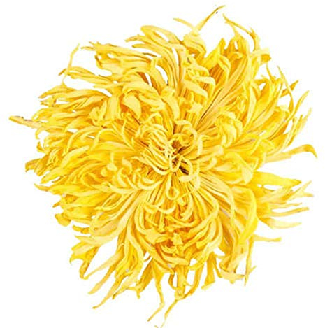 GLORIOUS INHERITING/BAIGUZHENZHEN Asian Origin Fragrant Dried Golden Chrysanthemum with Net Bag of 1,000 grams