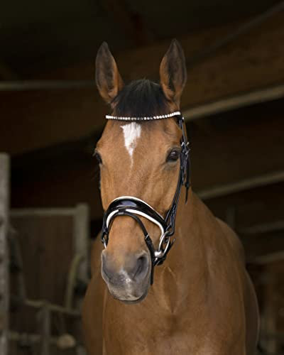Norton Bride Bella Black/White - Full | Cheval de bride | Mors | Rênes | Sangle frontale