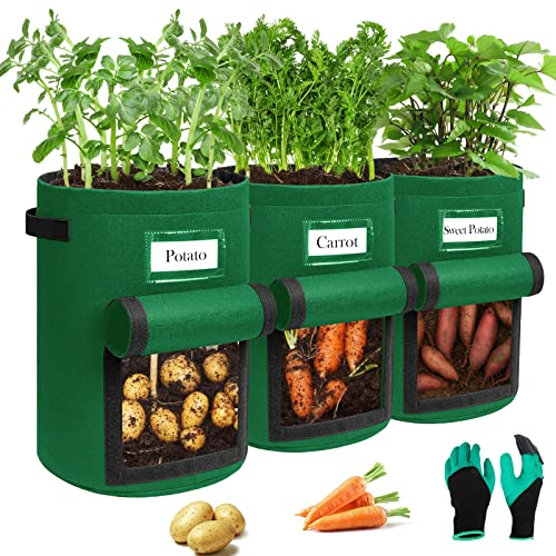 Airminti Lot de 3 sacs de plantation de pommes de terre de 10 litres avec poignées stables et rabat visuel, pots en non-tissé épais et respirants avec gants de jardinage pour tomates, pommes de terre