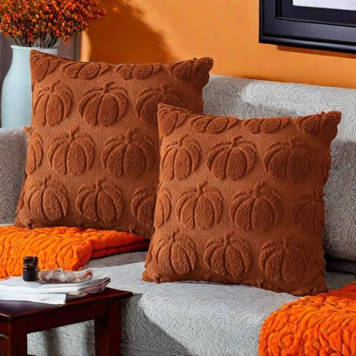 Générique Housse de Coussin Citrouille Decoration Automne 45x45 cm, Déco Pumpkin (Lot de 2-A)