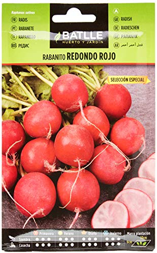 Semillas Batlle Radis Rond Rouge Special
