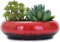 Macetas redondas grandes de cerámica esmaltada para suculentas de 7.3 pulgadas con agujero de drenaje, macetas de bonsái decorativas para jardín, soporte de cactus (rojo)