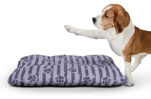 Bestlivings Hundekissen 60x80x15cm (LxBxH) - Anthrazit - Hundekorb gepolstert in vielen Größen M-XXL, kleine bis große Hunde, Hundebett, ÖKO-TEX