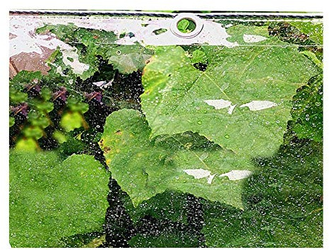 Outdoor Multi-Purpose Tarpaulin,Tarp,PVC Waterproof Plastic Tarps Sheet Heavy Duty Tent Garden Antifreeze Keep Warm Film Greenhouse Cover 11 Sizes (Clear 2.4Mx2M)