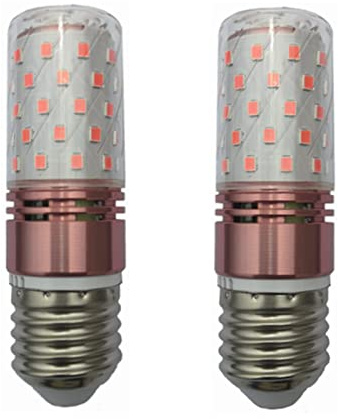 WELSUN E26 LED Ampoules de maïs 10W 12V 24V Base de vis Standard E27 EQUIVALENTE Equivalent for VR, Panneau Solaire DISCINE, Bateau, Paquet DE 2 (Couleur : Rouge)