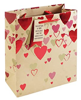 Eurowrap Falling Hearts Valentines Brown Kraft Paper Gift Bag Made from 100% Recycled Paper Love Special with Gift Tag Medium Size