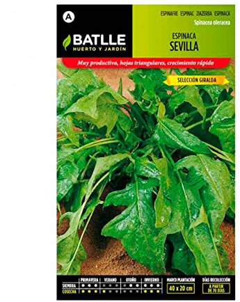 Semillas Batlle Épinards Seville - Très précoce