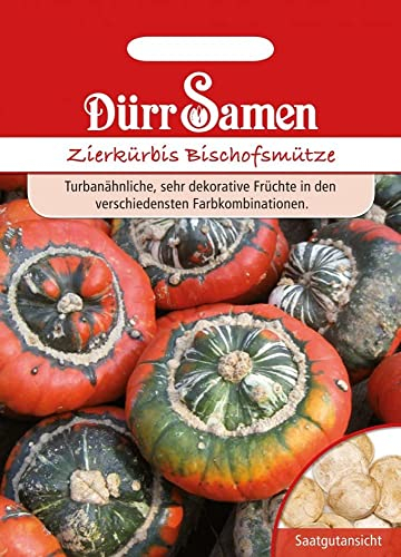 Dürr-Samen - Zierkürbis Bischofsmütze Saatgut