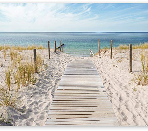 murando - Vlies Fototapete Strandweg 250x175 cm - Foto Tapete Schlafzimmer Wohnzimmer Moderne Vliestapete XXL Wandtapete Motivtapeten Bildtapete 3d Effekt Wand Dekoration - Meer Strand c-A-0054-a-b