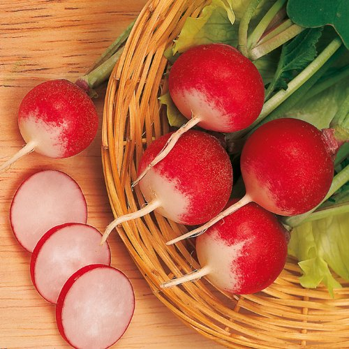 Suttons Seeds 176485 Radish Sparkler 3-Seed