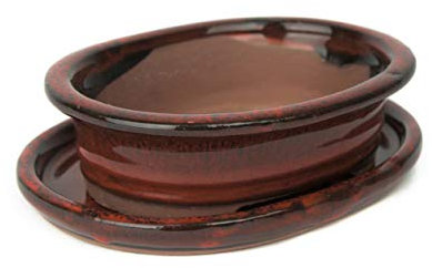 Bol à bonsaï en céramique avec soucoupe, 4 couleurs, bac à plantes, de qualité supérieure, pour l'intérieur et l'extérieur, rectangulaire et ovale, rouge, 15 cm