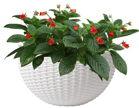 Teksome Pot de Fleurs Mural | Pot de Fleurs Mural en Imitation rotin pour Fleurs, élégant récipient pour d'intérieur, décoration Moderne pour pétunias, Impatiens, pothos, orchidées, bégonias