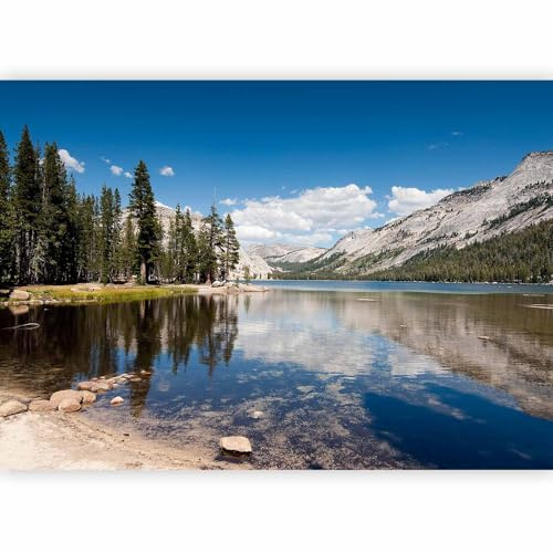 murando Photo Wallpaper Lake Forest Mountains 400x280 cm Non-Woven