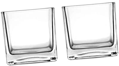 Cabilock 2 Piezas macetero Cuadrado de Cristal contenedores hidropónicos Cuadrados florero sujetavelas Recipiente de Cristal de Flores Recipiente de Vidrio para Plantas Mini